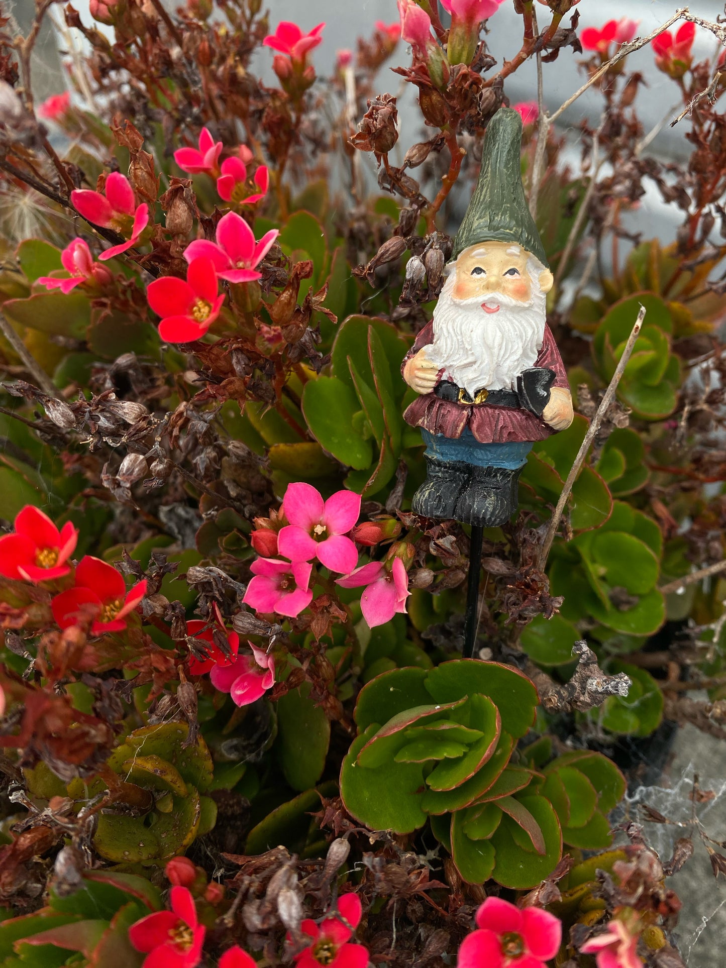 Flowerpot Stake Garden Gnome Blue