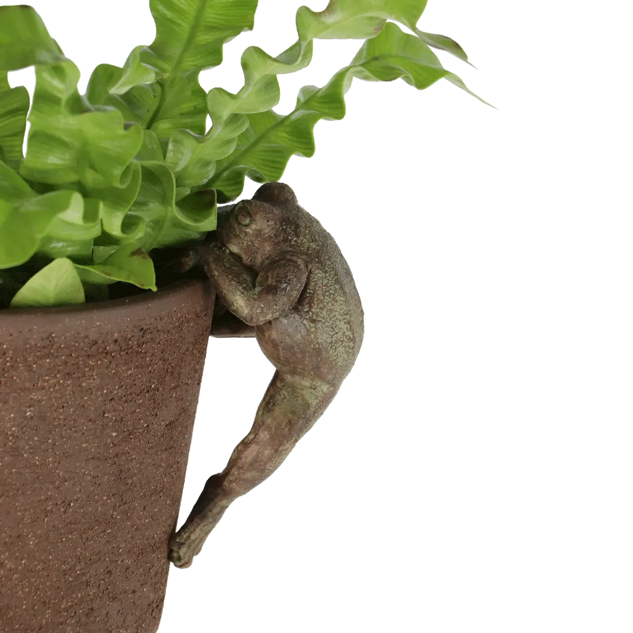 Pot Hanger Frog