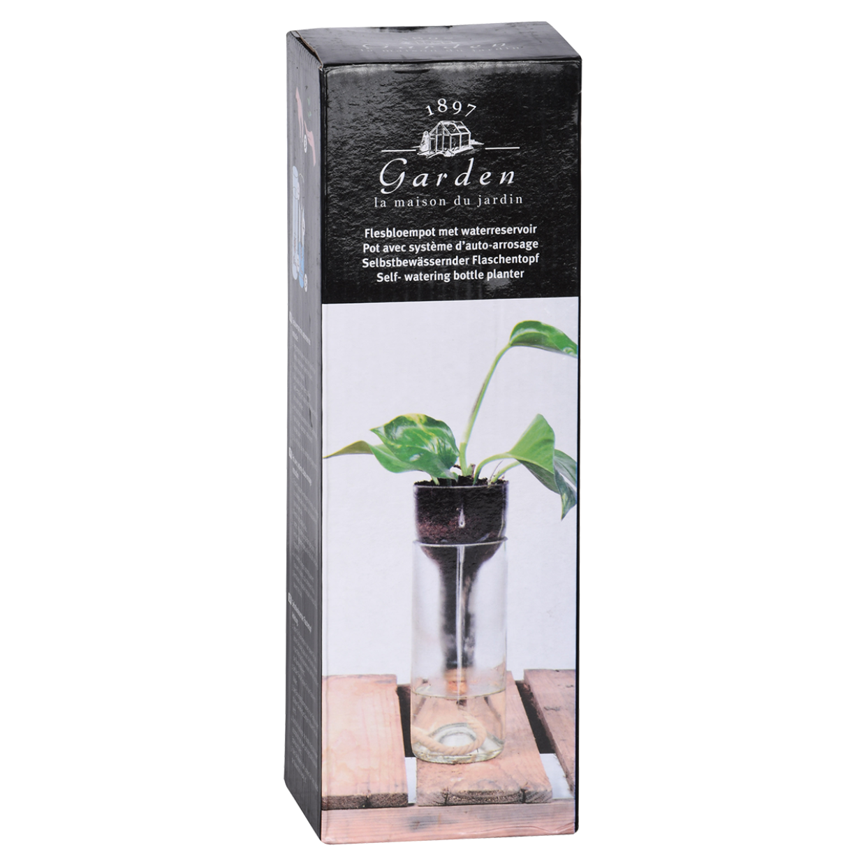 Planter Self-Watering Bottle
