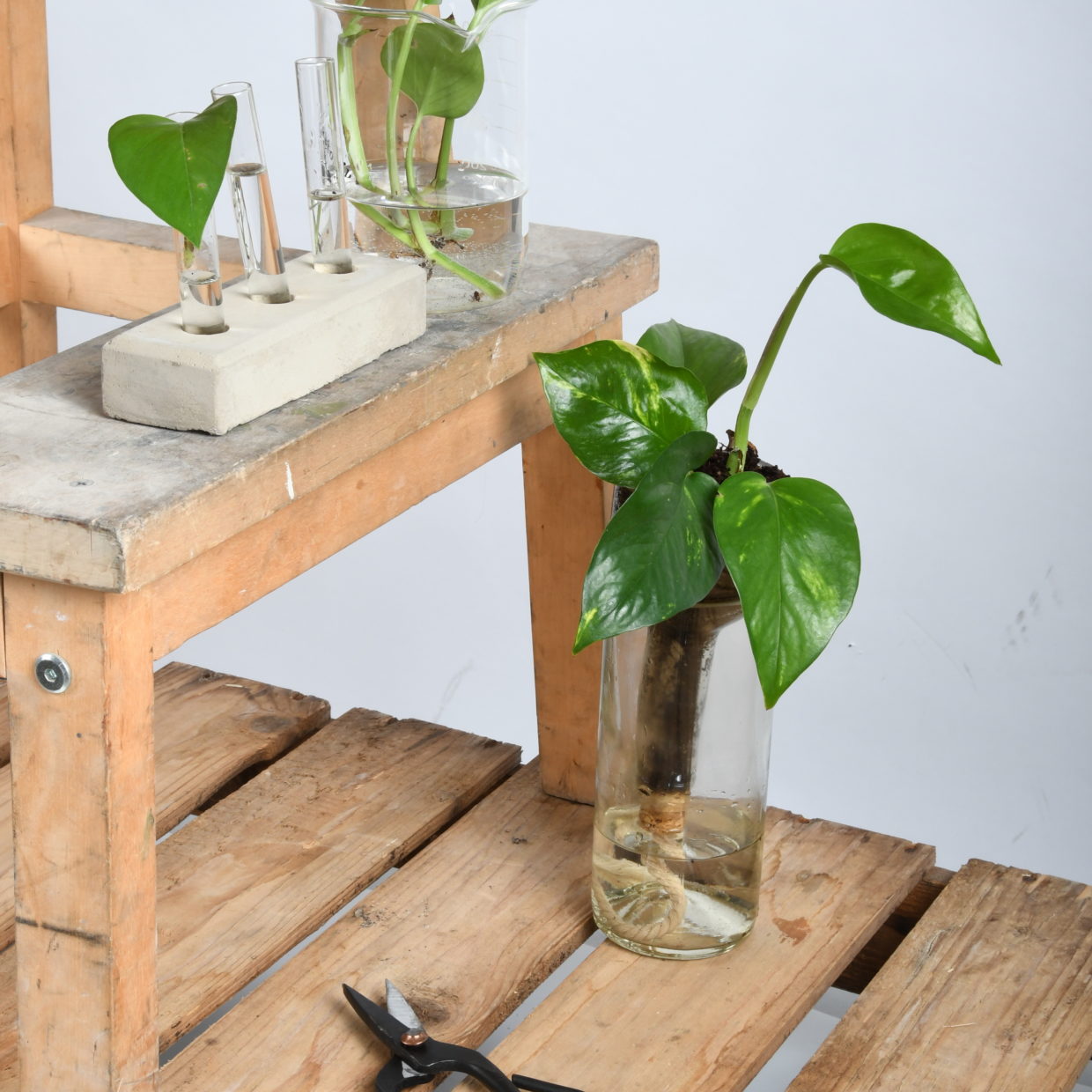 Planter Self-Watering Bottle