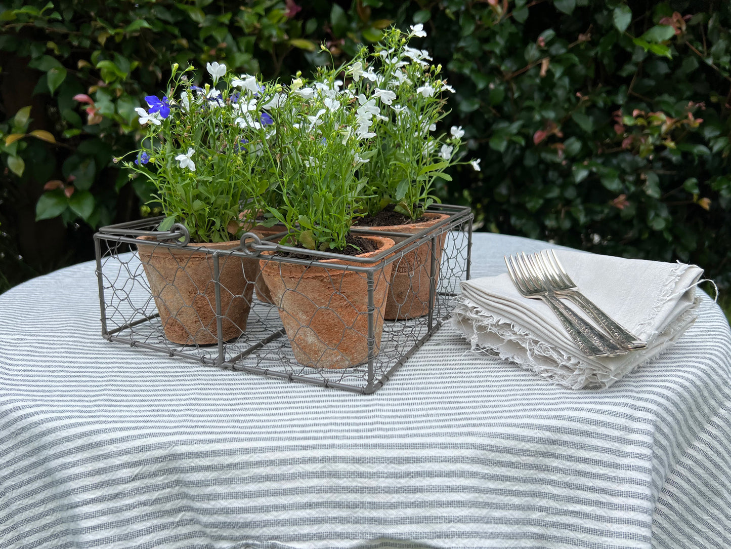 Aged Terracotta 4 Pots in Wire Basket w/ Handle