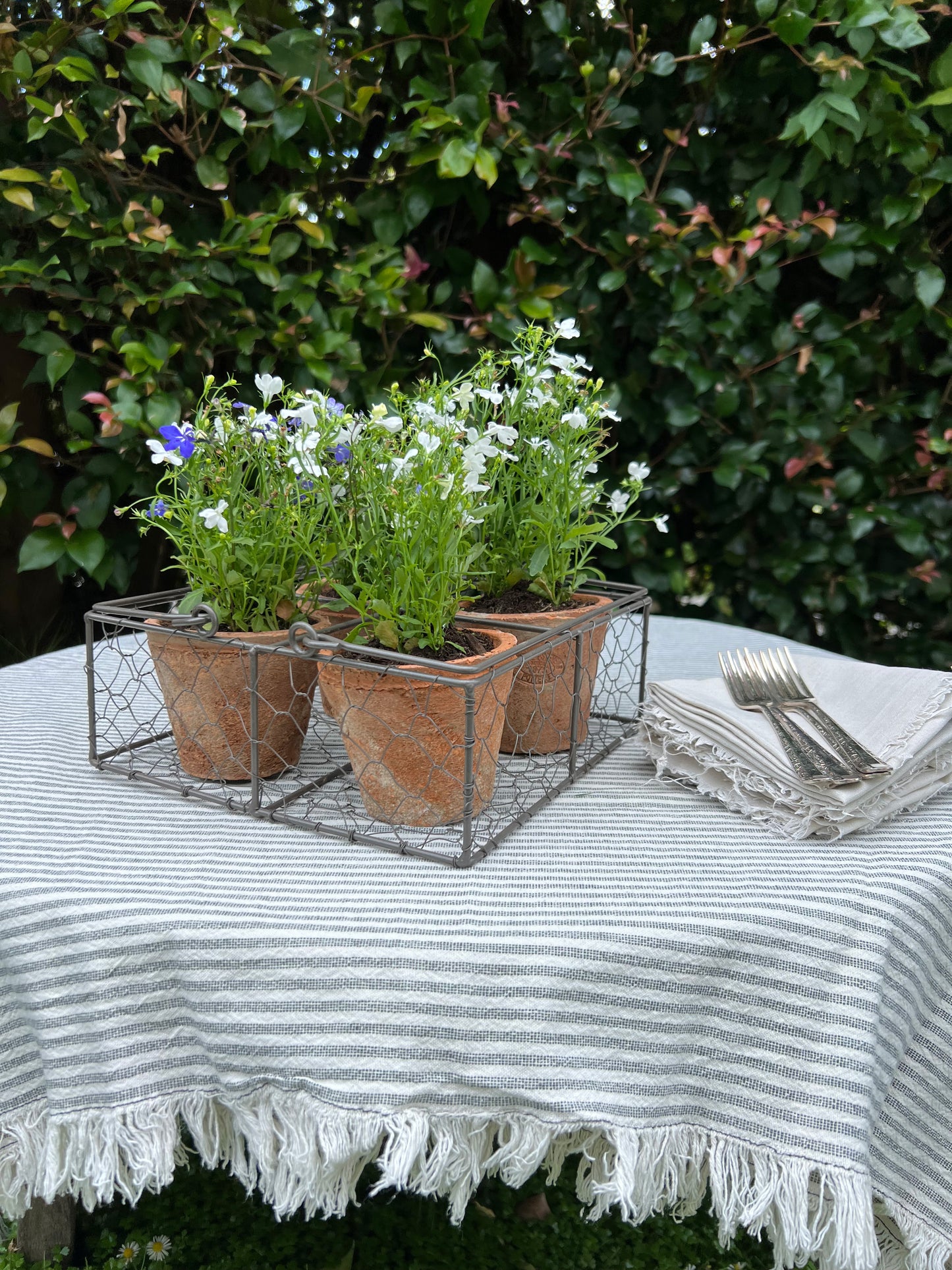 Aged Terracotta 4 Pots in Wire Basket w/ Handle