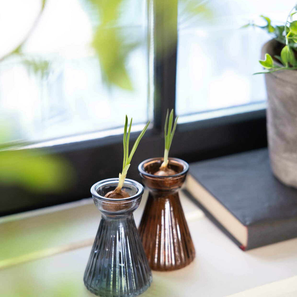 Bulb Vase Crocus Smoke