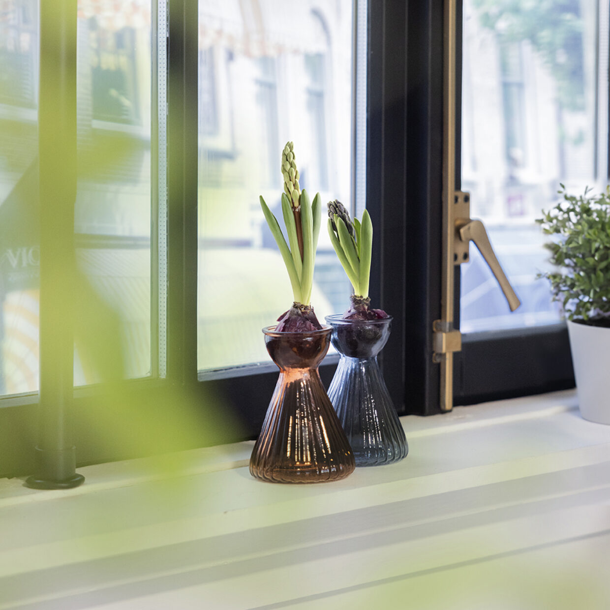 Bulb Vase Hyacinth Smoke