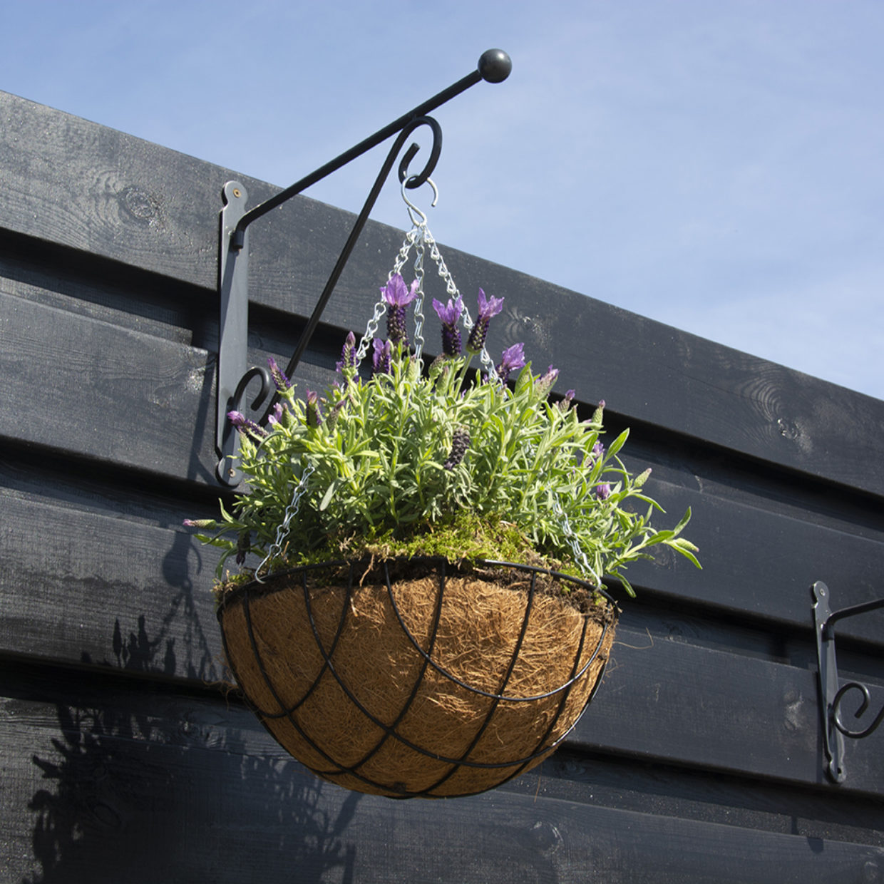 Basket Hanging Hook Ball 29cm