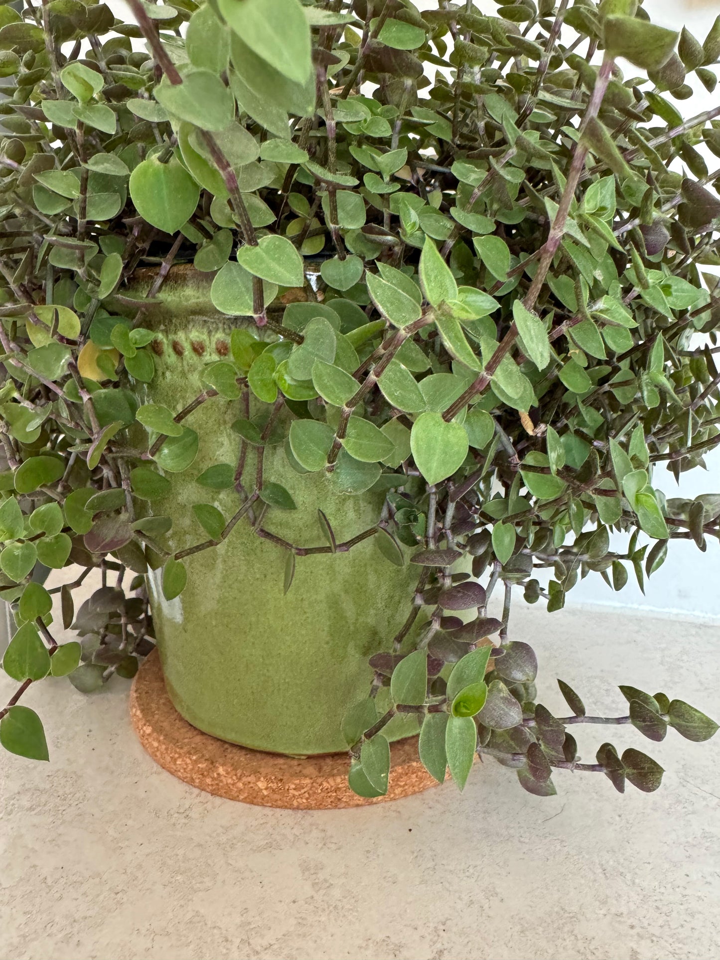 Cork Trivet/Saucer 15cm