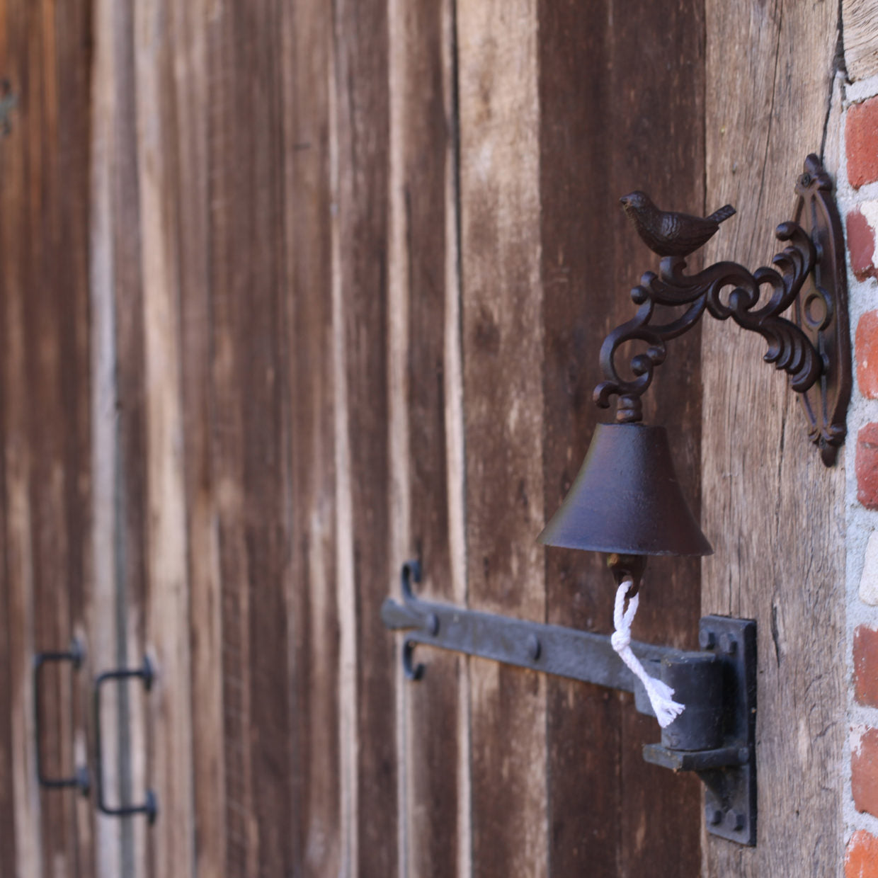 Cast Iron DoorBell Bird