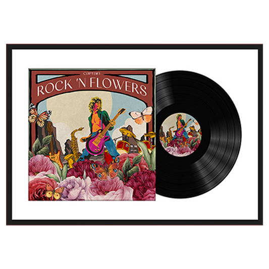 Framed Record Album Cover