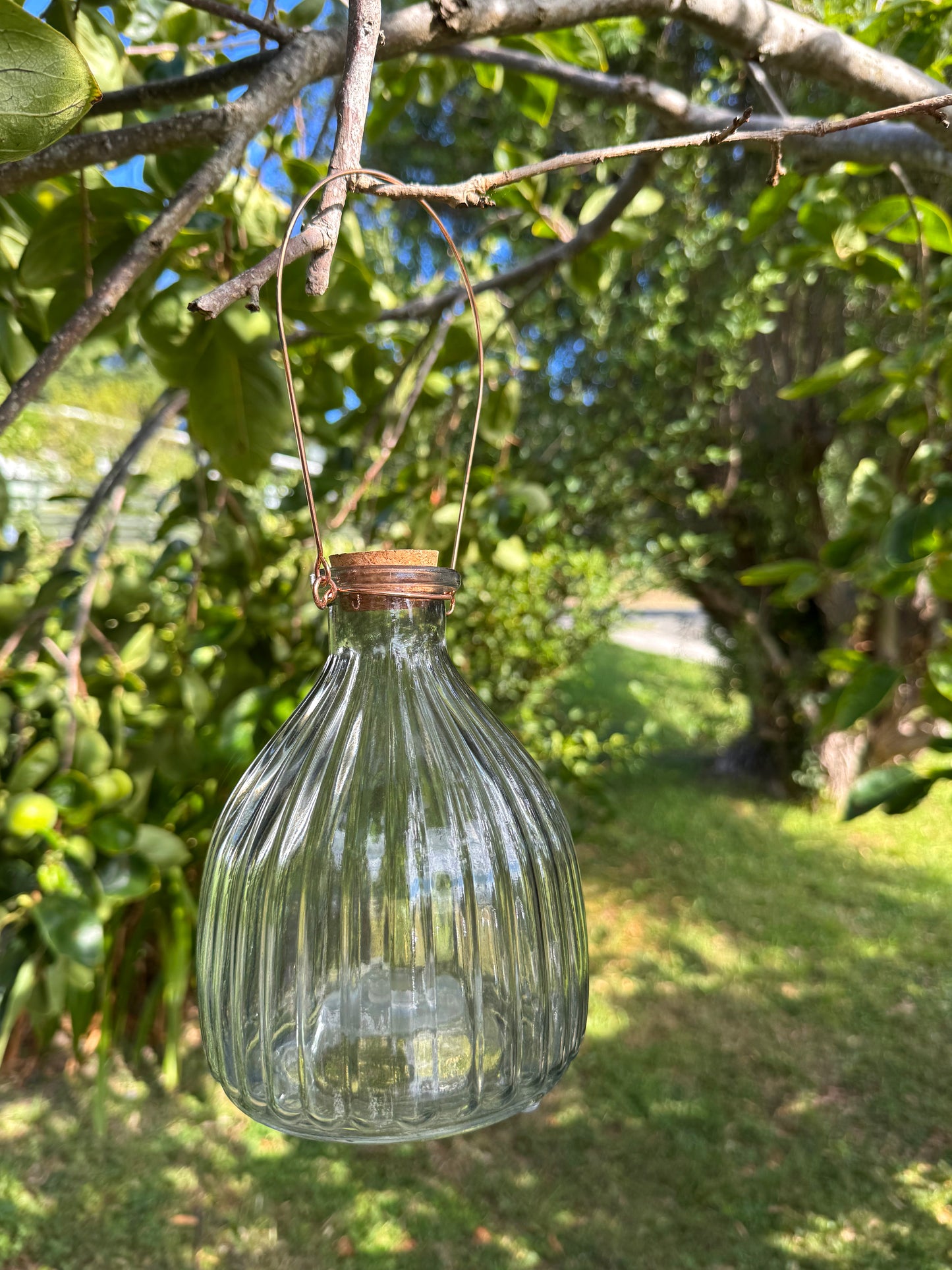 Wasp Trap Sky Blue