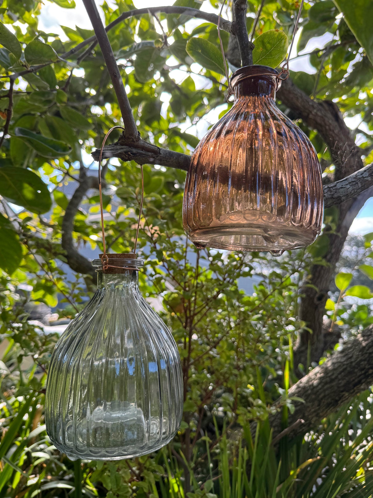 Wasp Trap Sky Blue