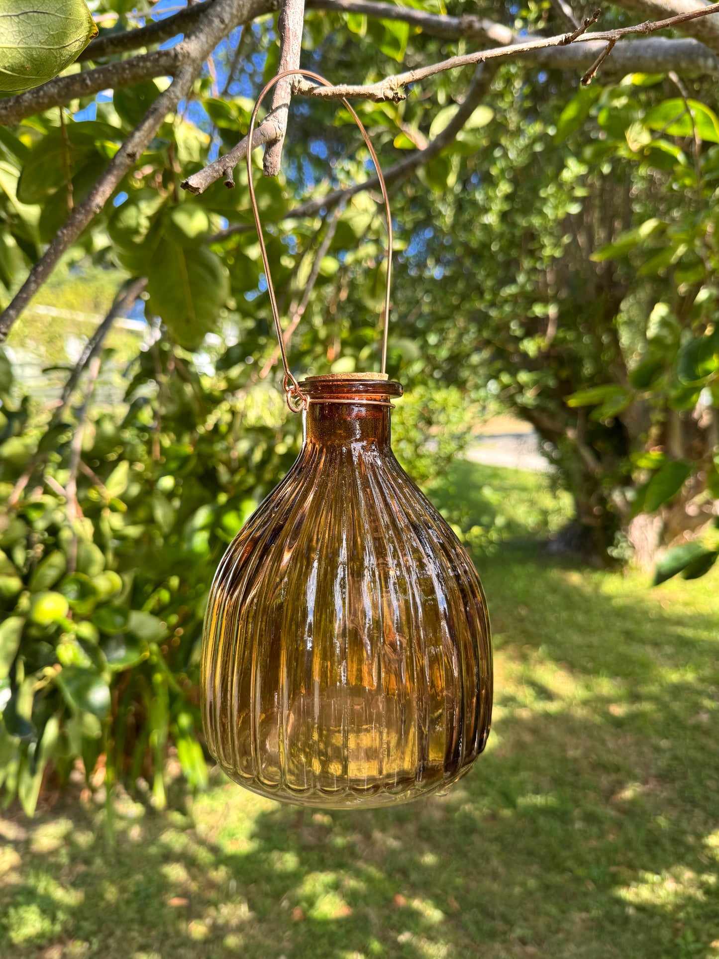 Wasp Trap Chestnut