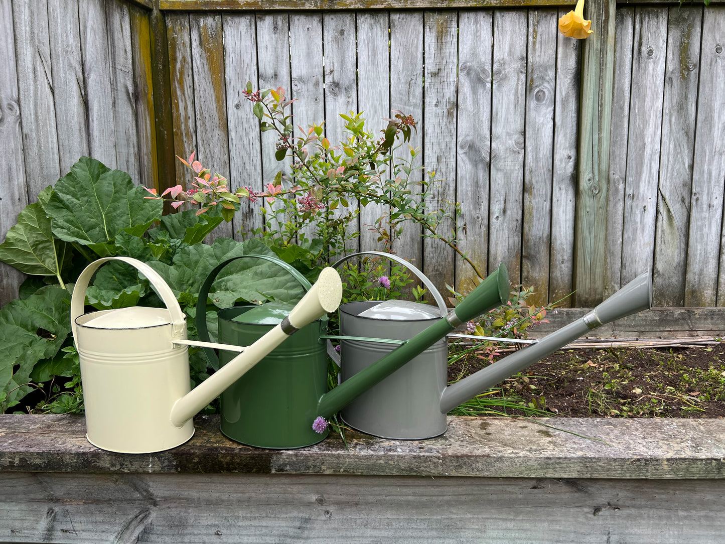 Outdoor Watering Can Forest