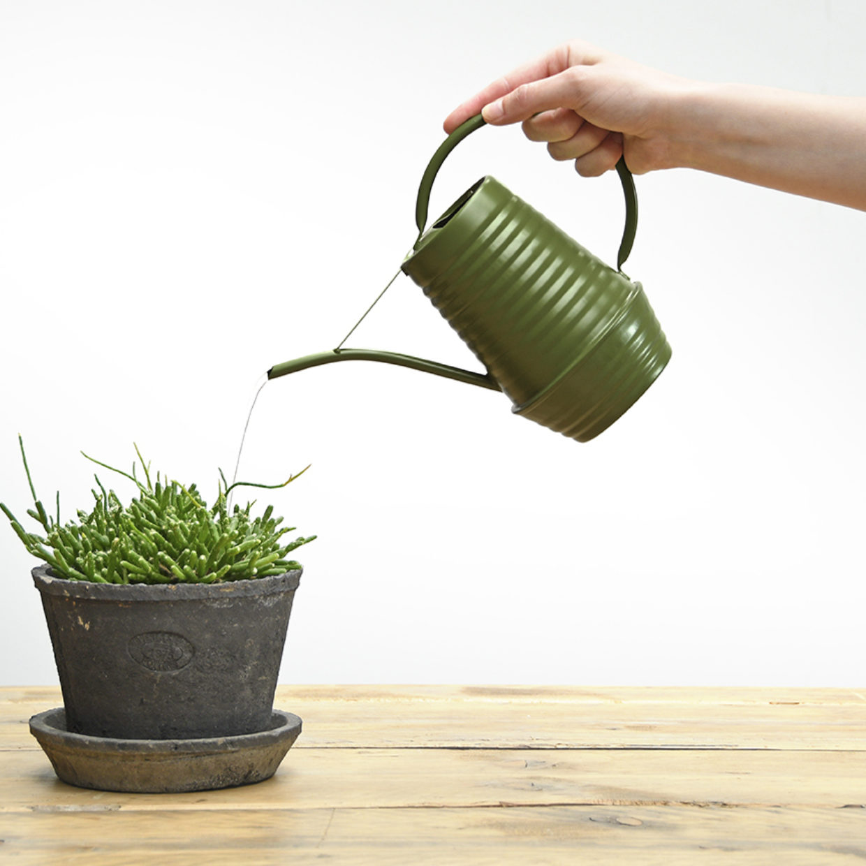 Watering Can Indoor Dark Green