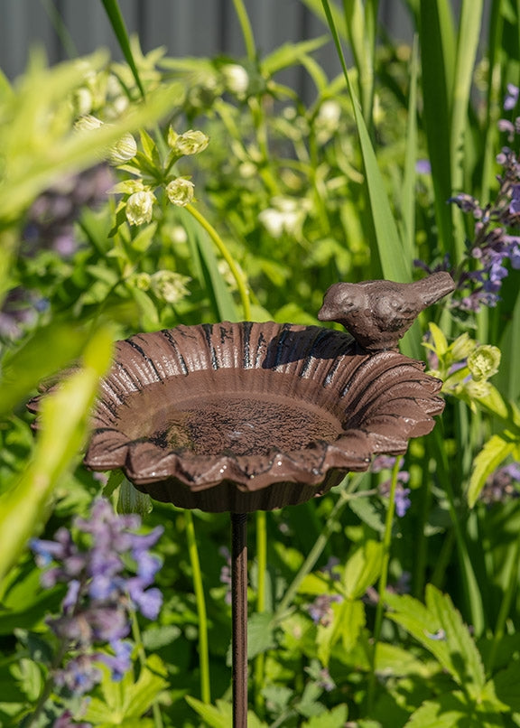 Cast Iron Bird Bath On Stick