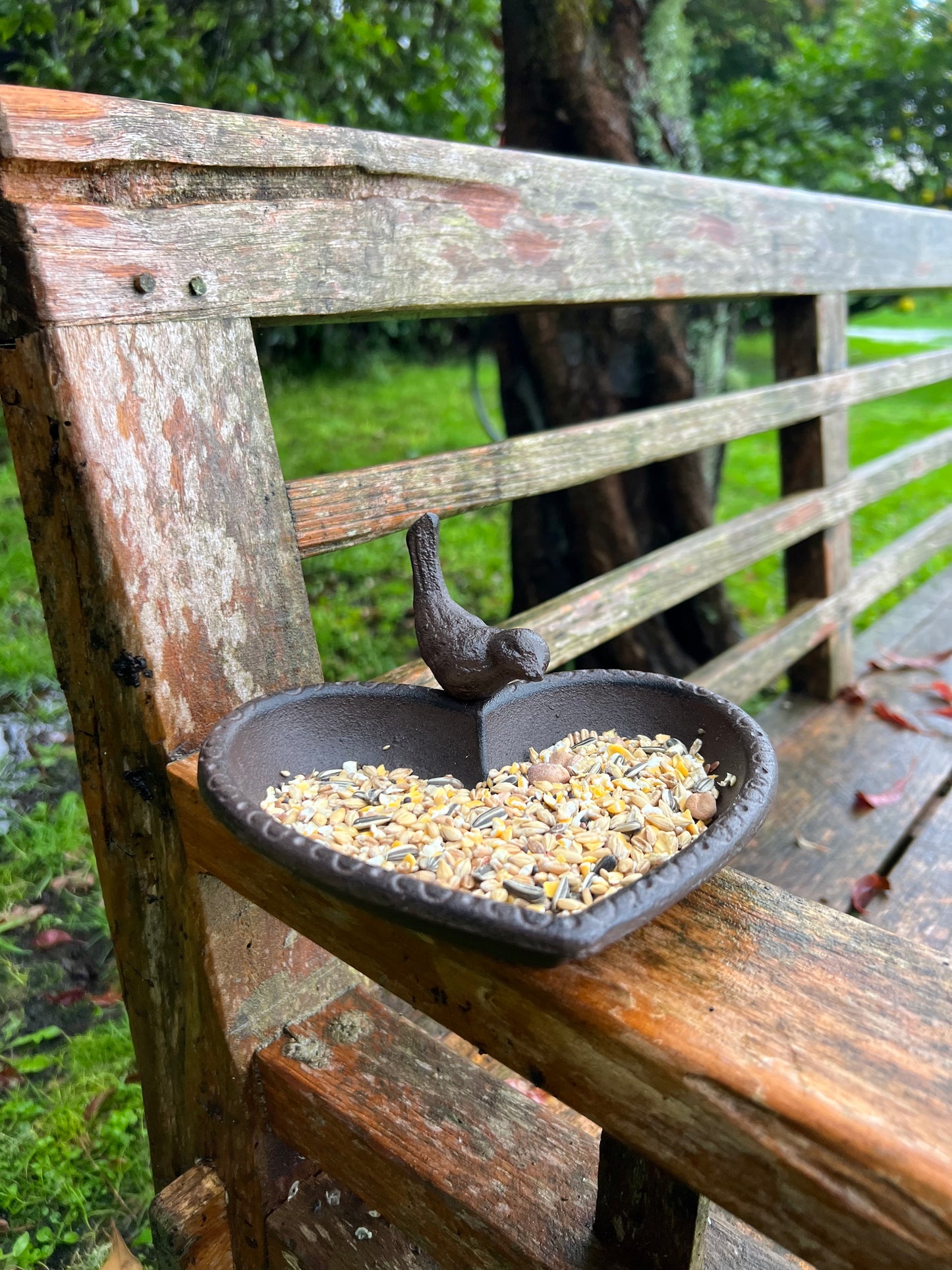 Cast Iron Heart Bird Bath/Feeder