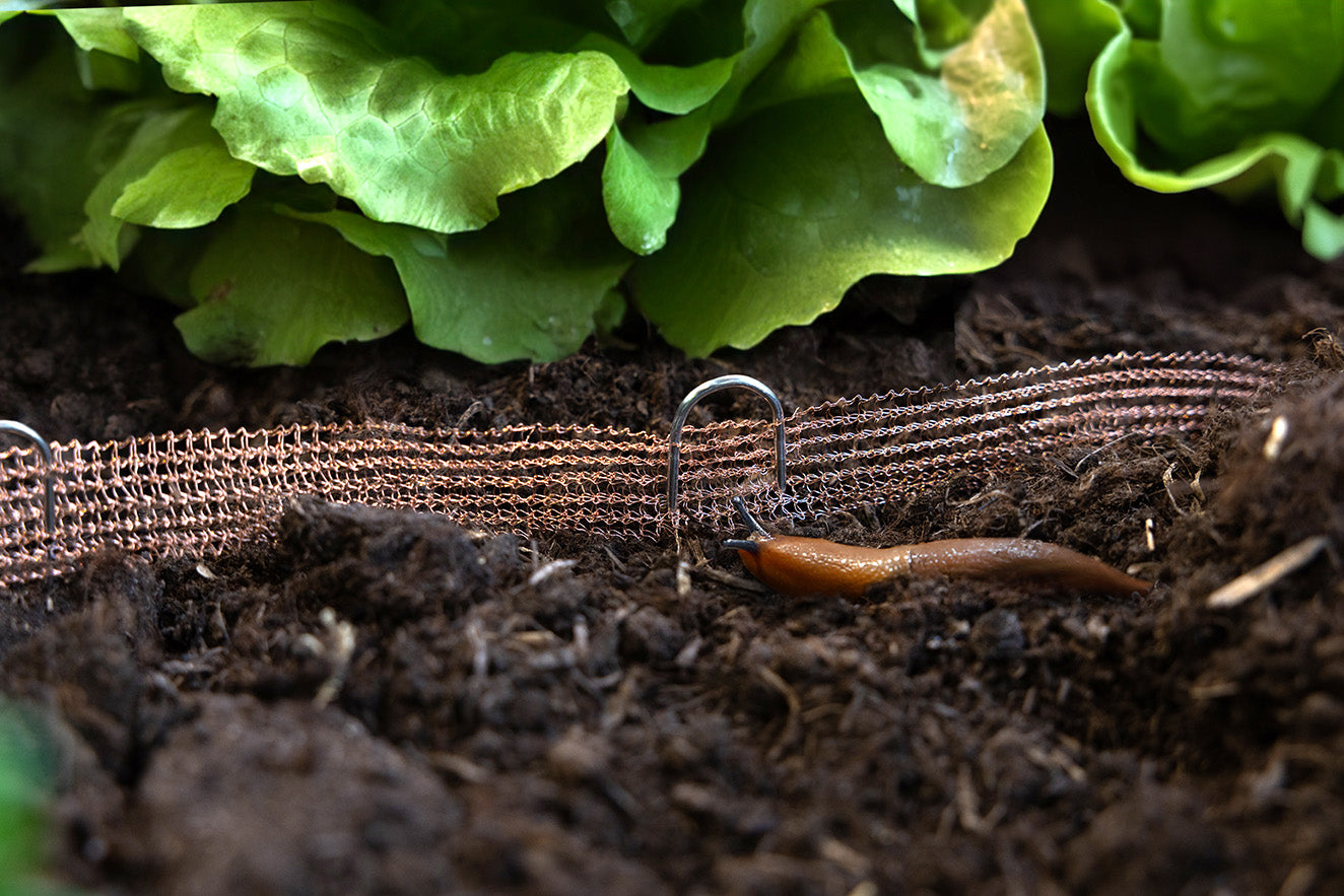 Copper Fence Mesh