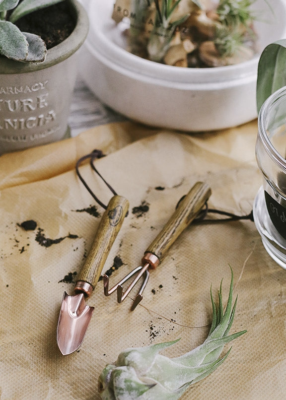 Copper Plated Mini Tools Set of 2