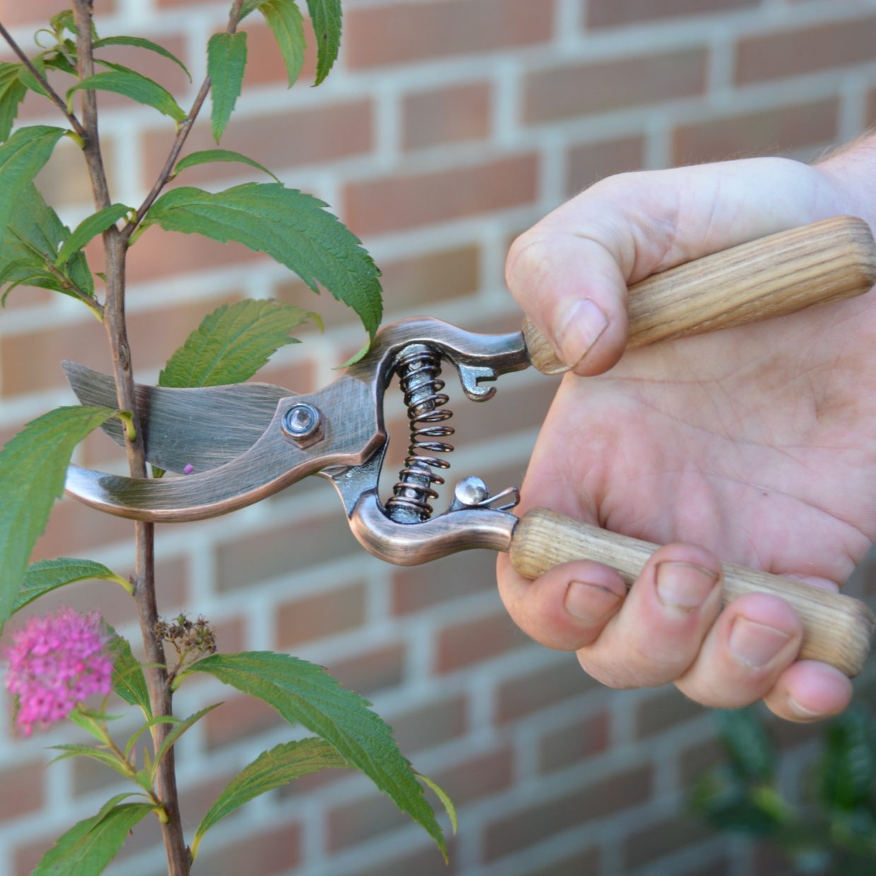 Copper Plated Pruner