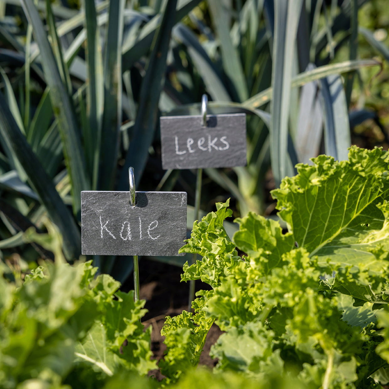 Planter Stick with Slate Label