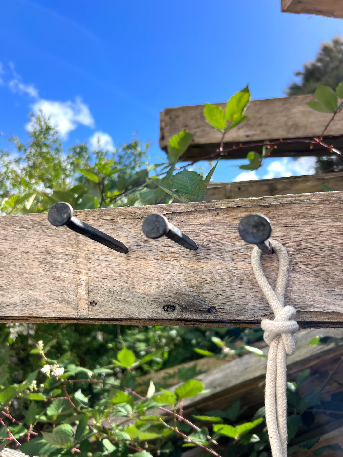 Forged Iron Nail