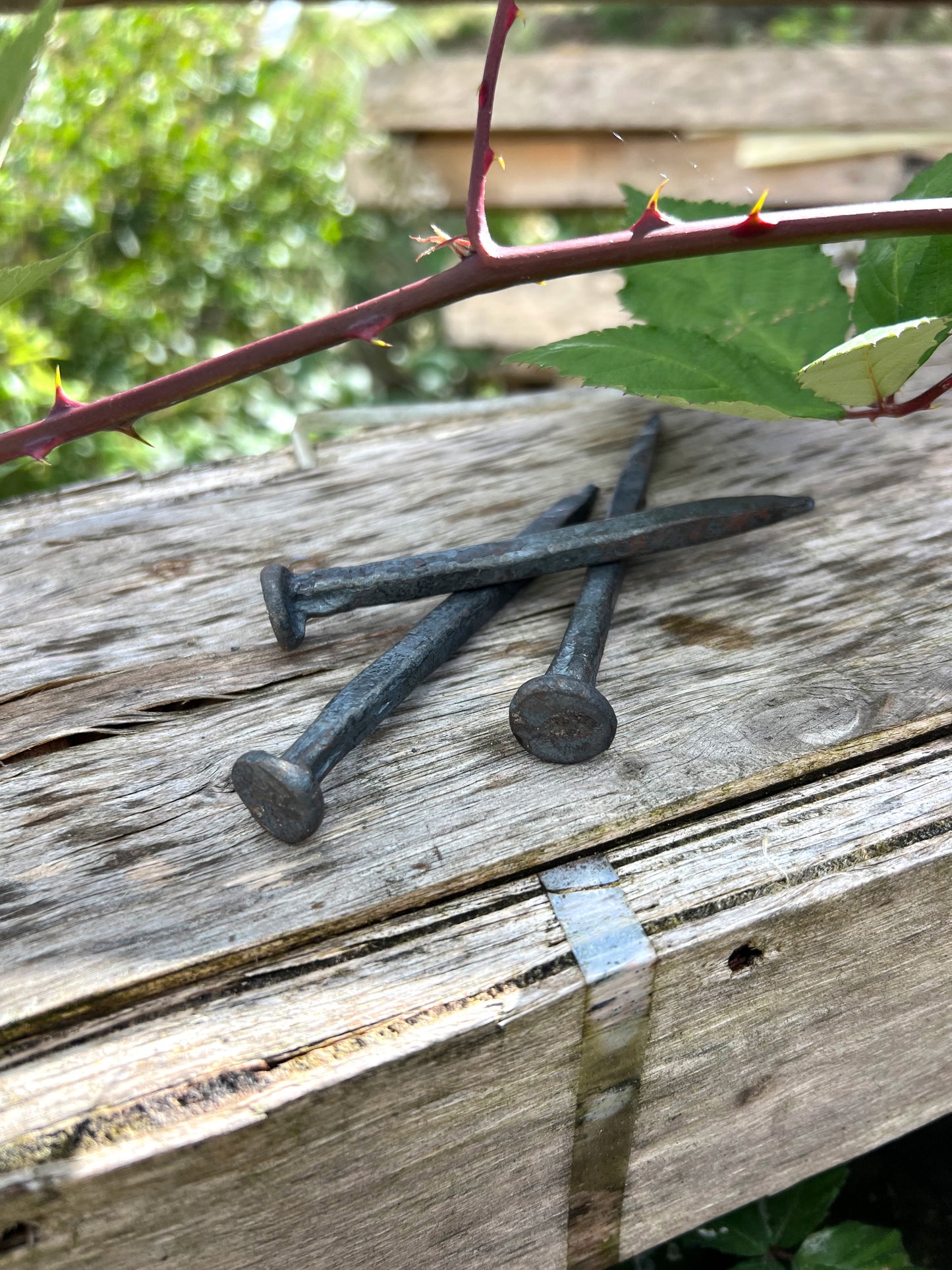 Forged Iron Nail