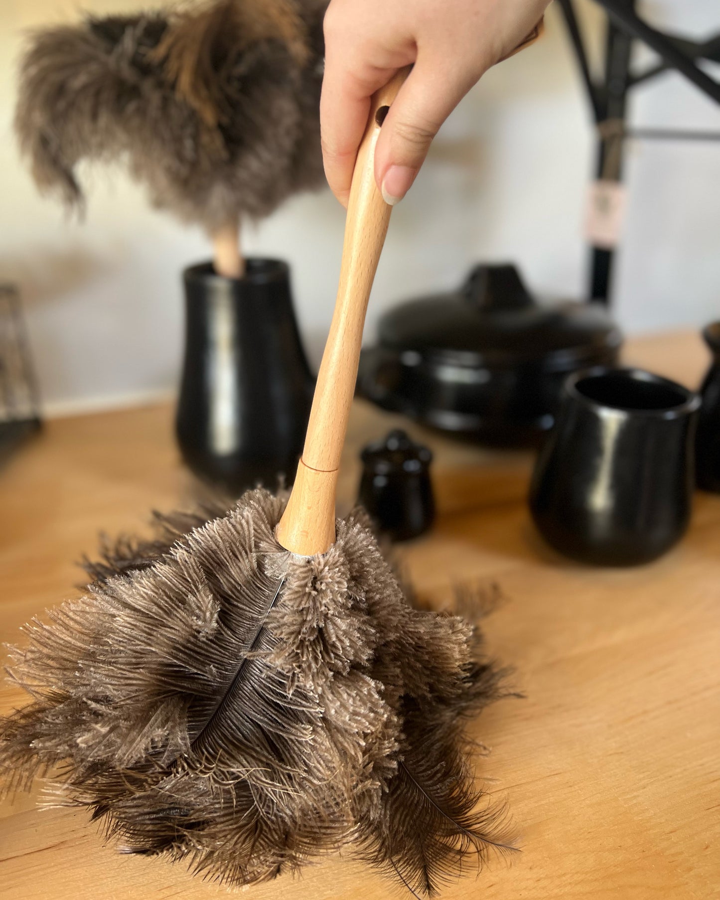 Feather Duster