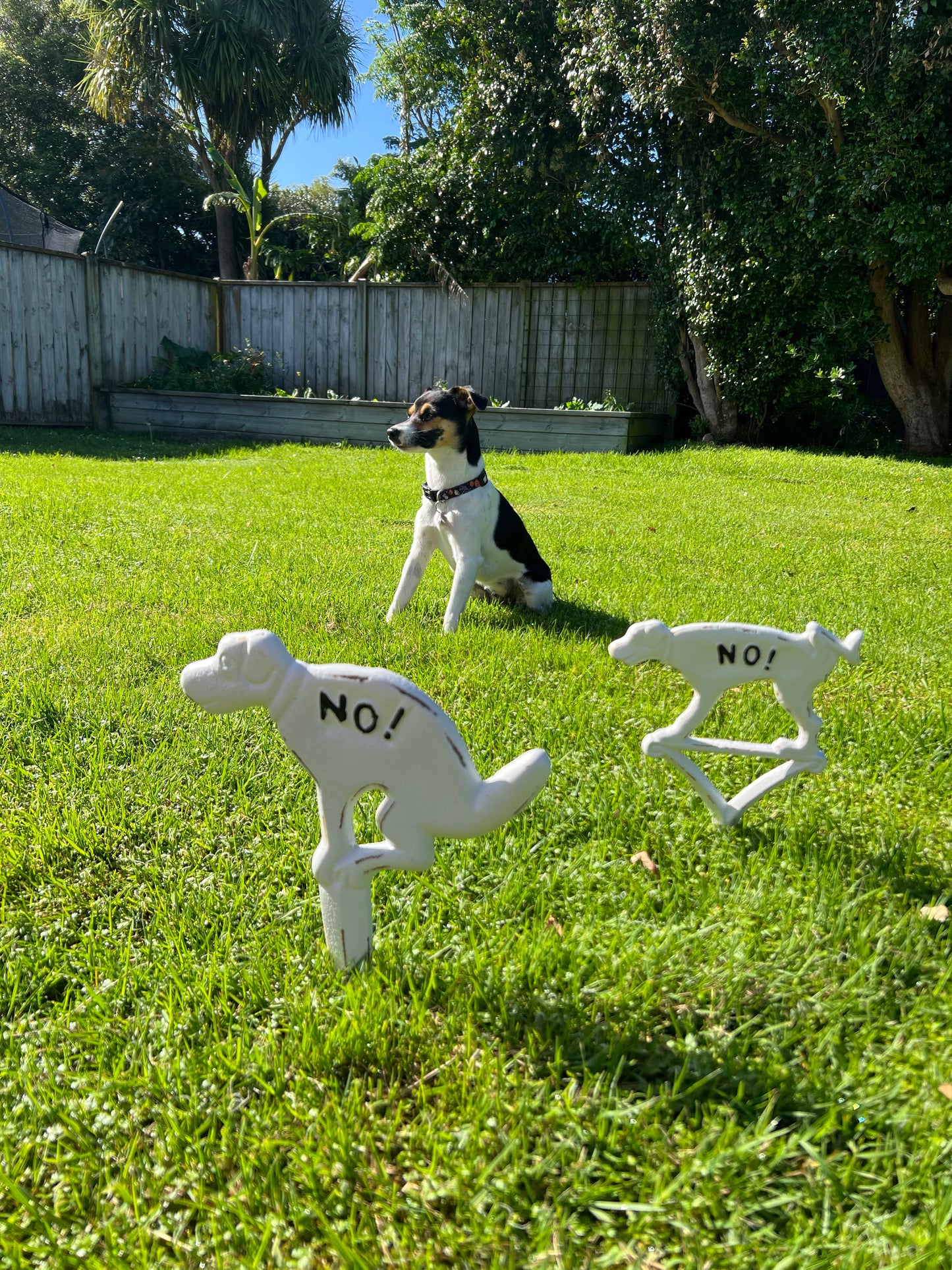 Dog Sign "No Peeing"