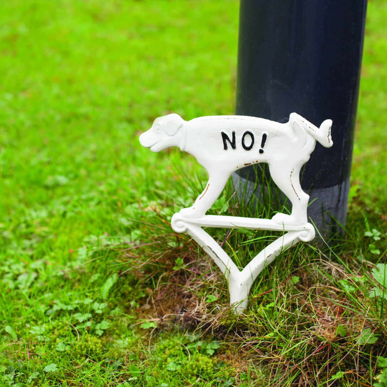 Dog Sign "No Peeing"