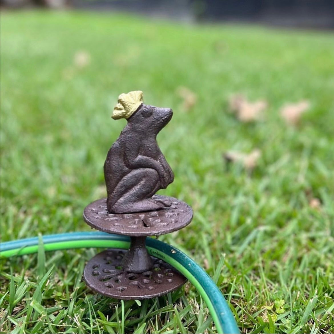Hosepipe Guide Cast Iron Frog King