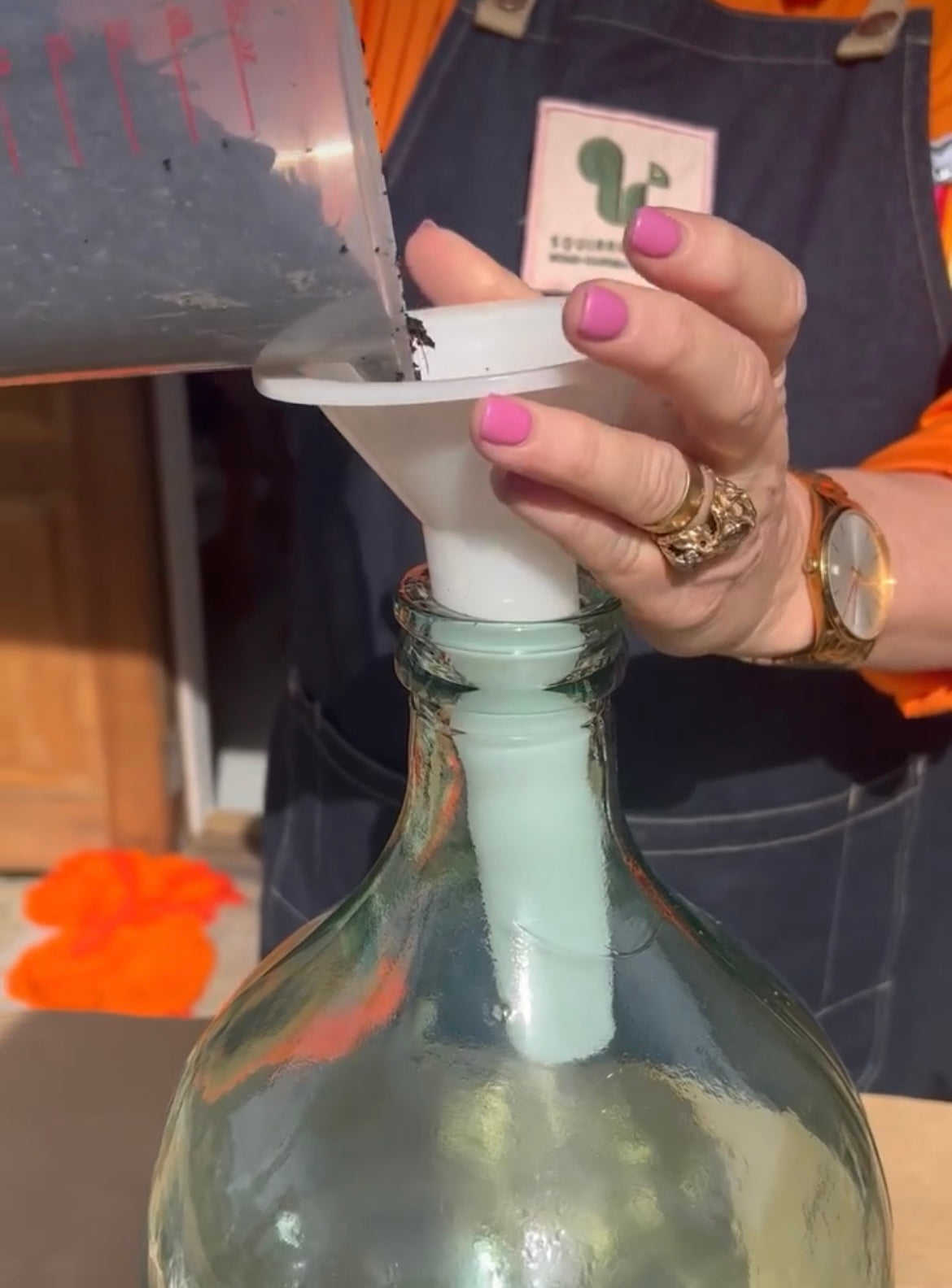 Terrarium Funnel