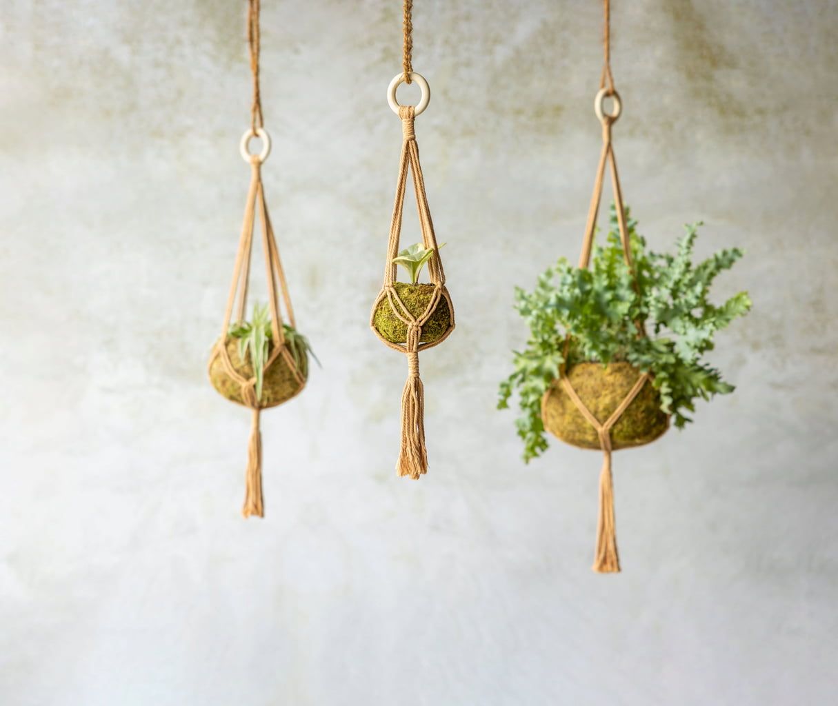 Macramé Plant Hanger 15cm