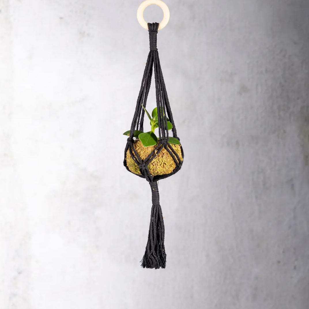 Macramé Plant Hanger Black 9cm