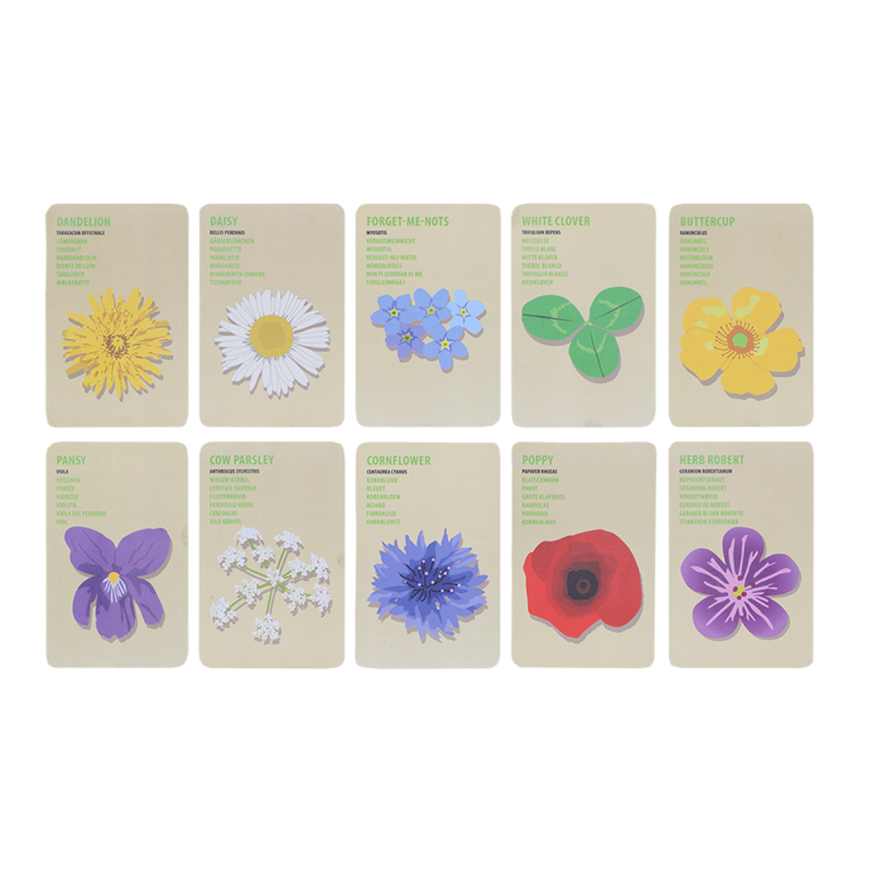 Kids Explorers Bag Flowers
