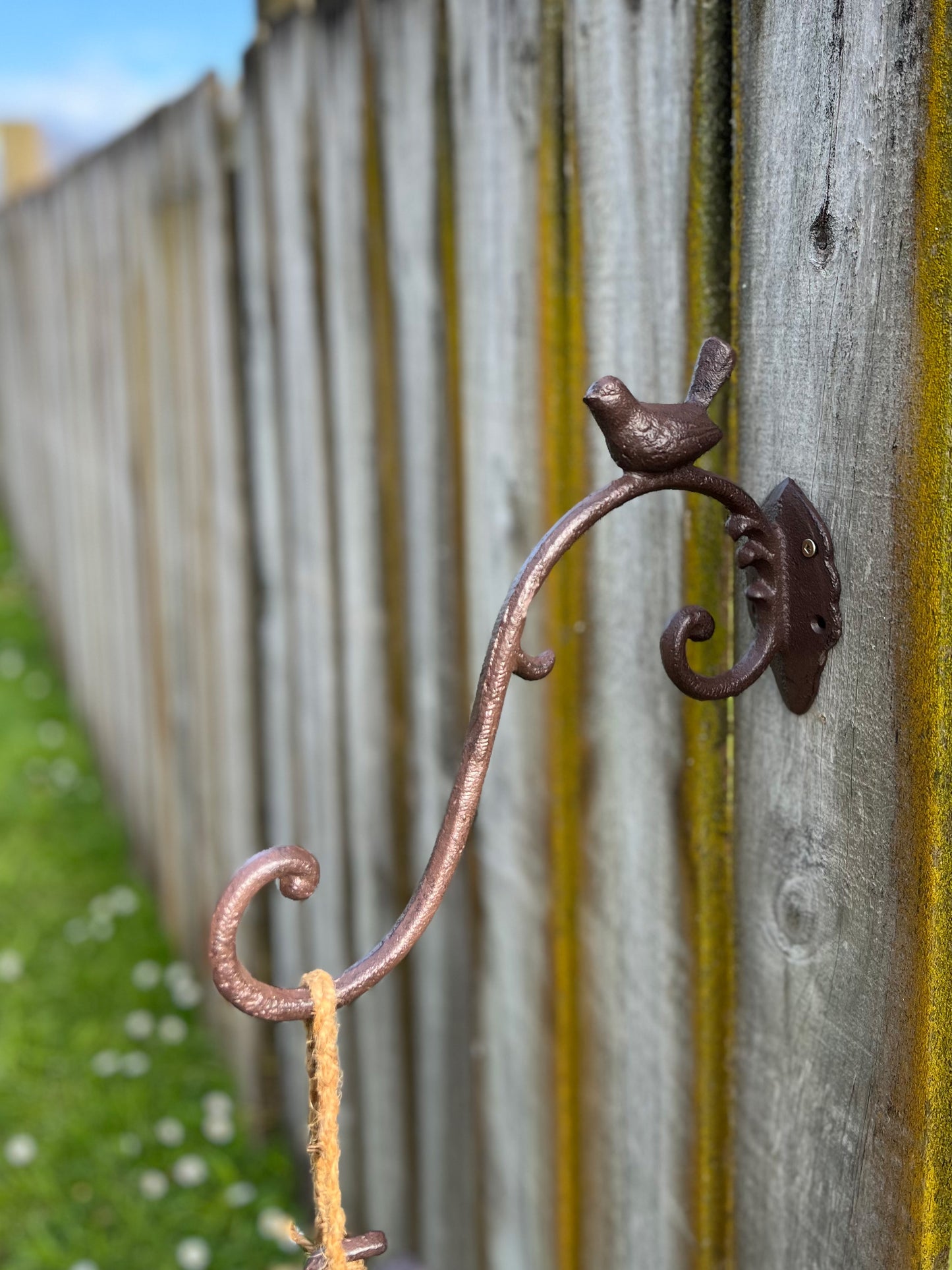 Cast Iron Bird Hook