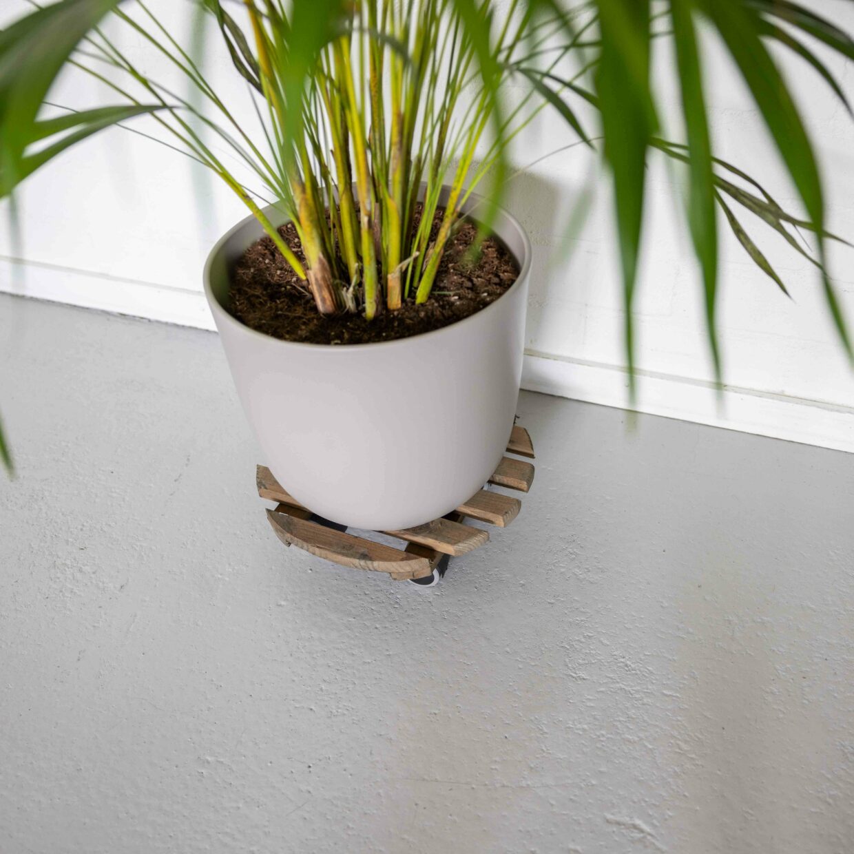 Plant Trolley Wooden Round Natural