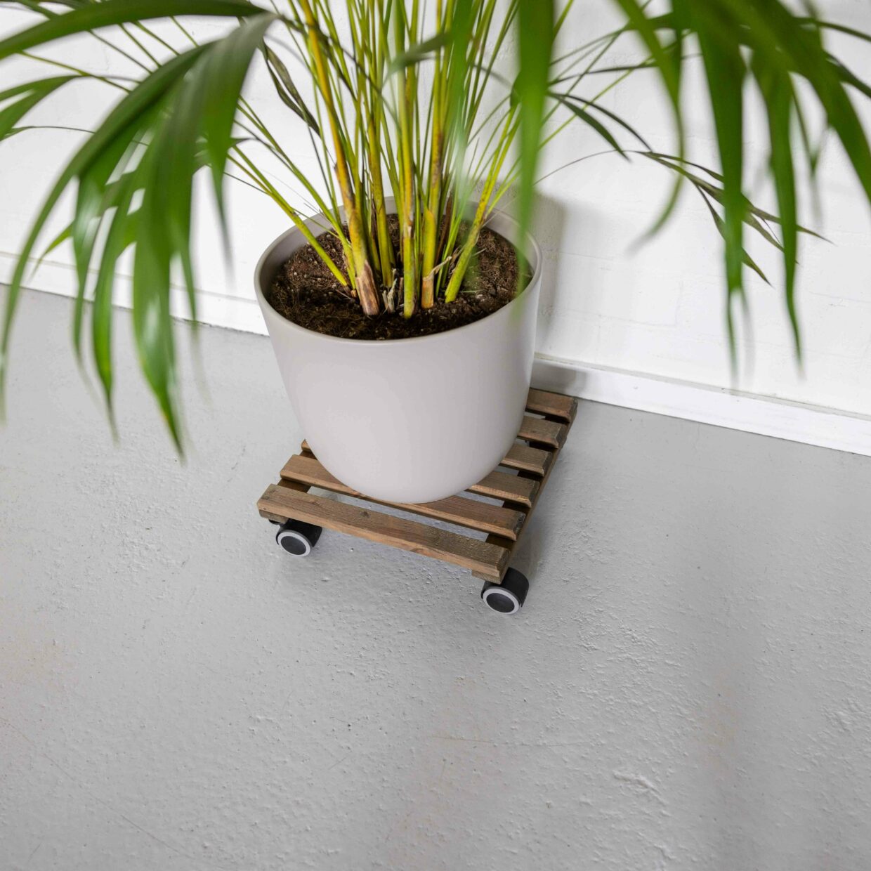 Plant Trolley Wooden Square Natural