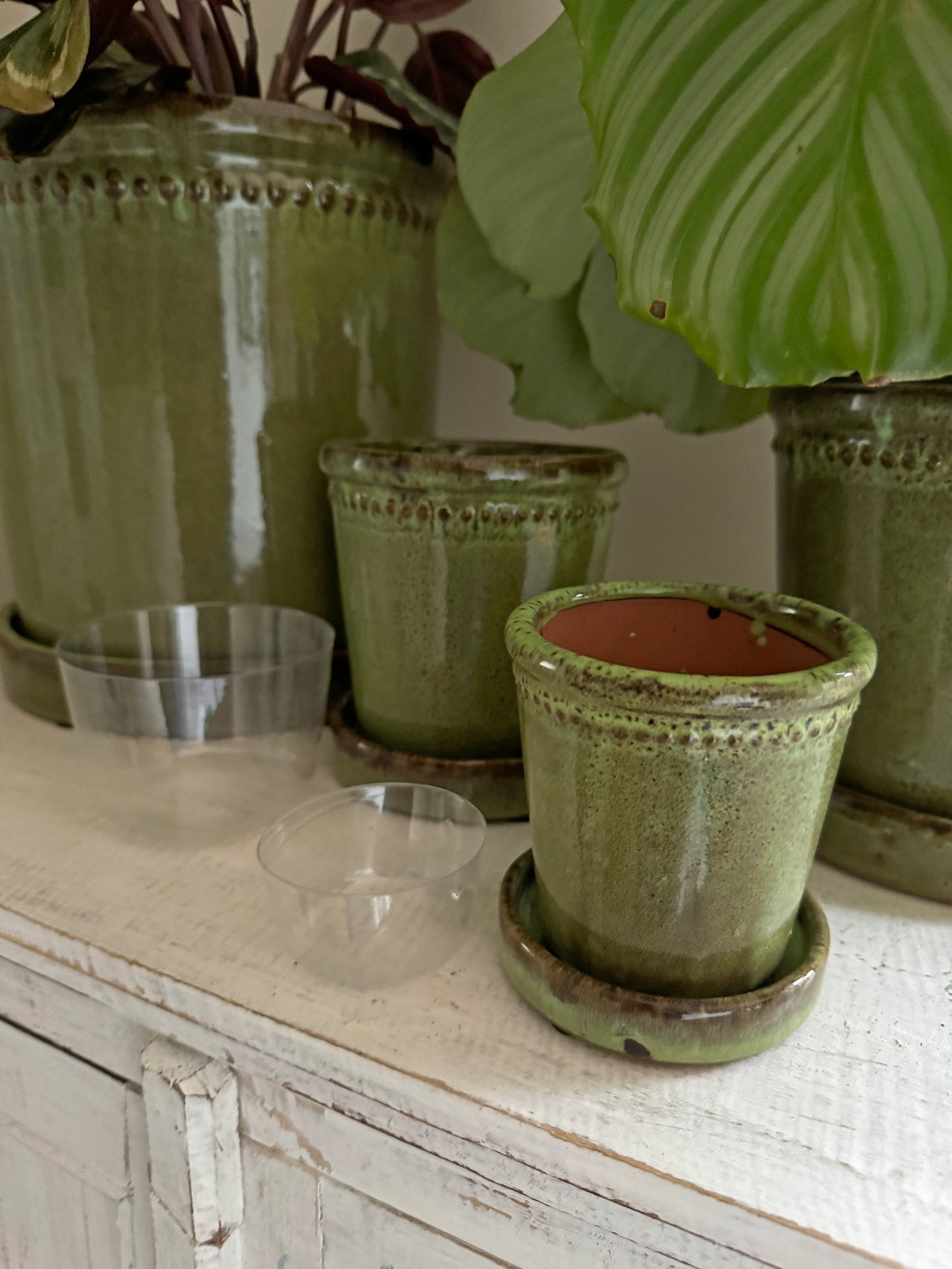 Flower Pot Saucer Glazed Green 12cm