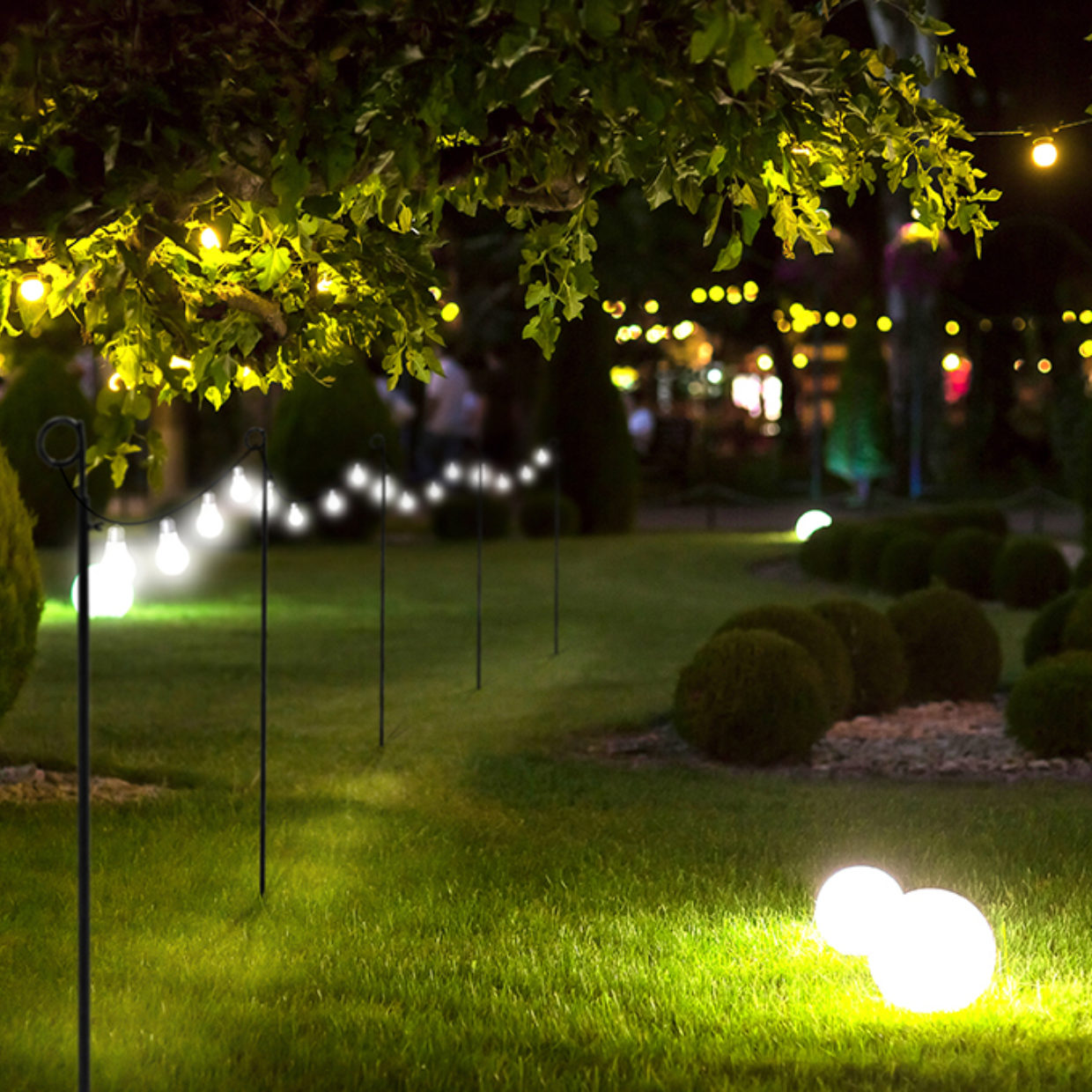 Festoon Light Holder Adjustable