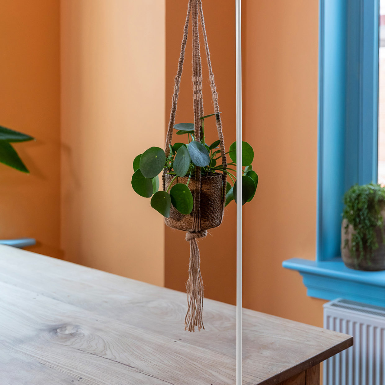 Table Hook White