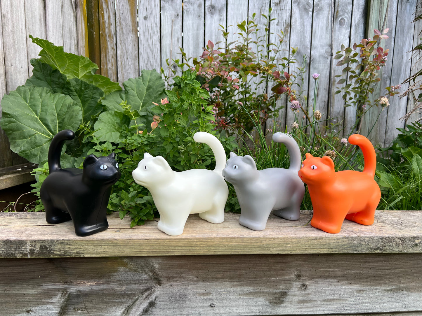 Watering Can Cat Grey