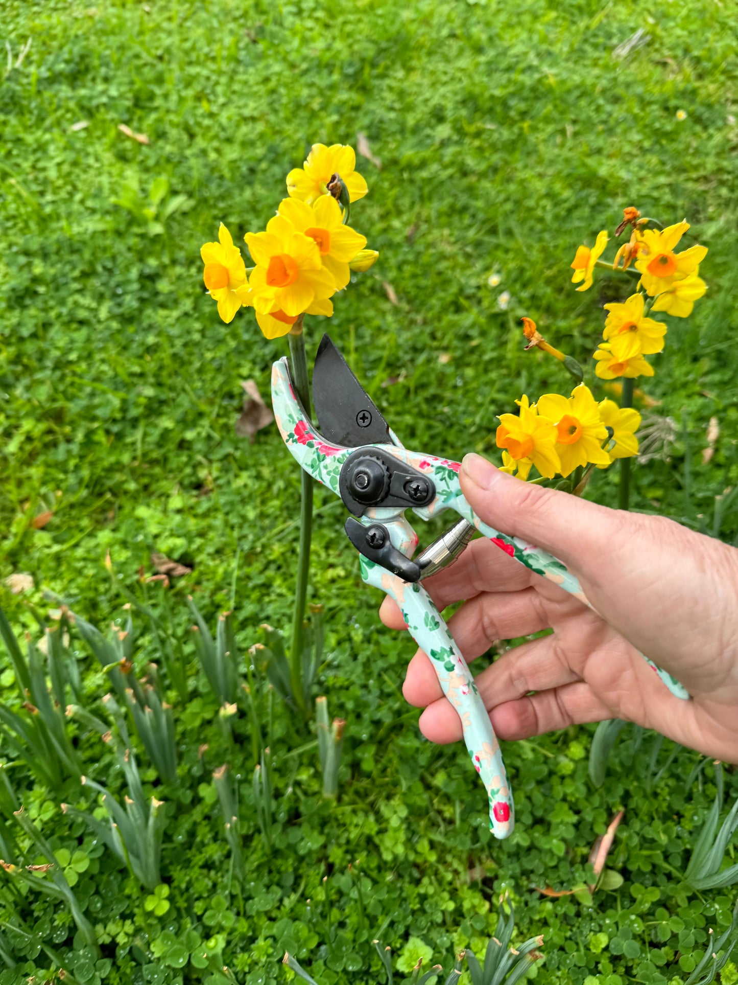 Rose Print Pruner