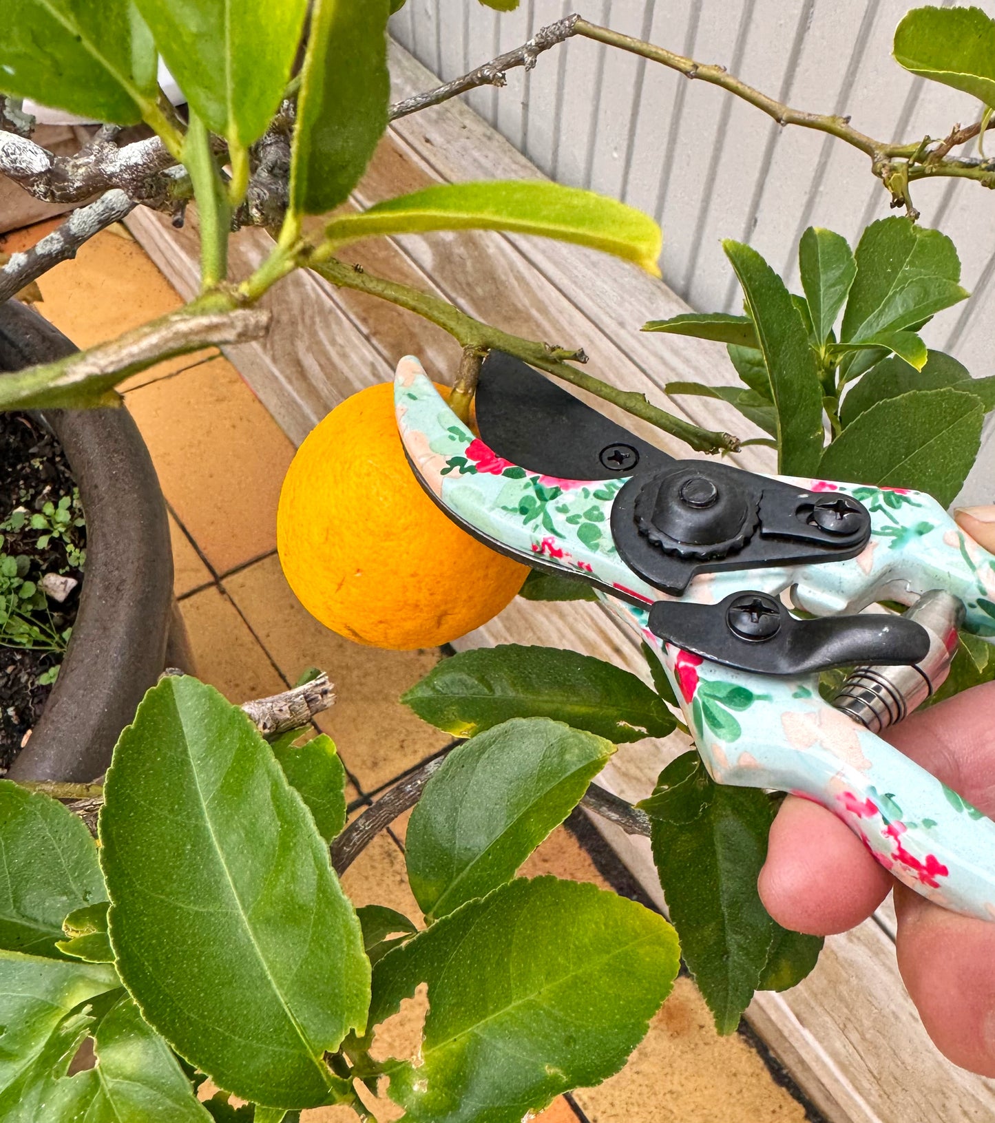 Rose Print Pruner
