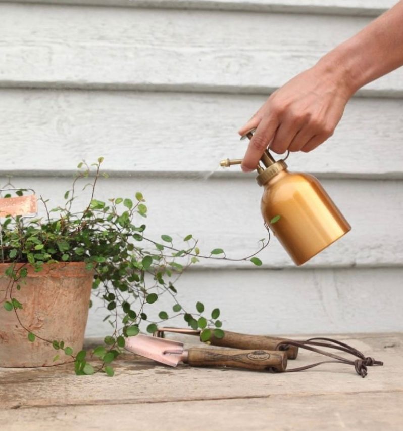 Plant Mister Copper