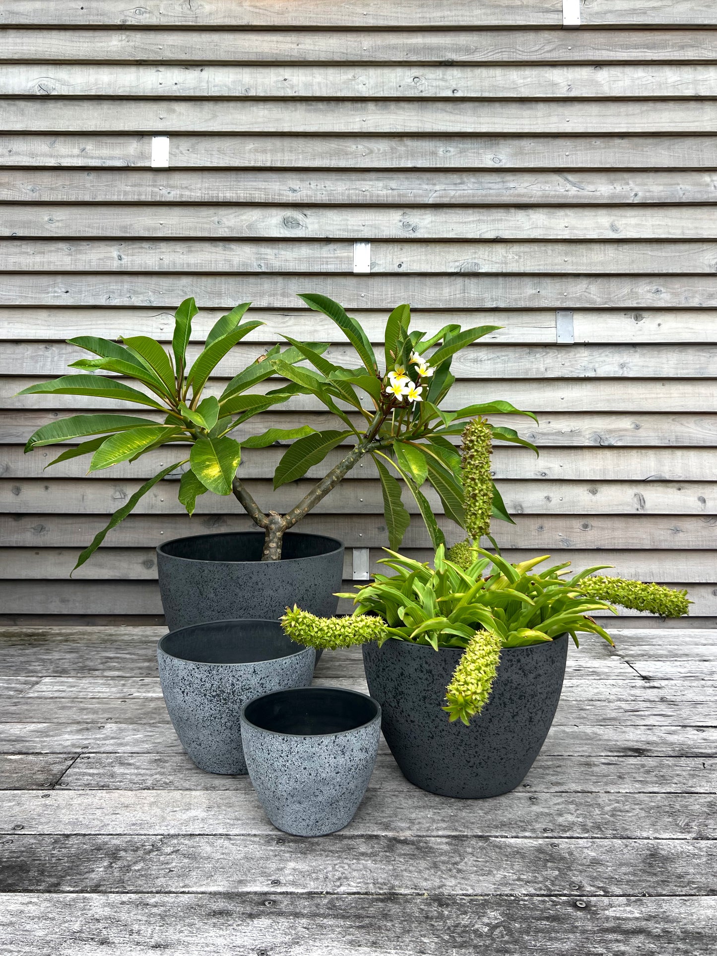 Nova Pot 'Concrete' X-Large