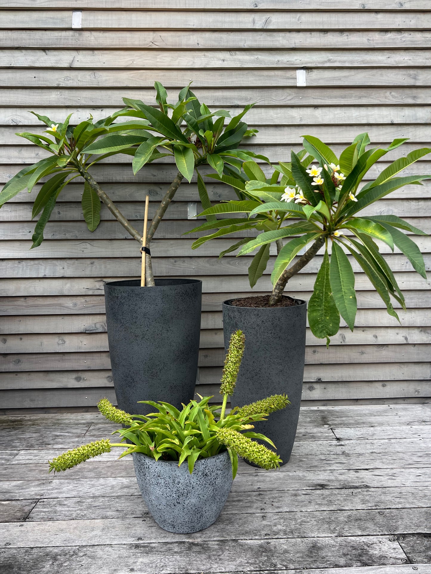 Nova Pot 'Concrete' X-Large