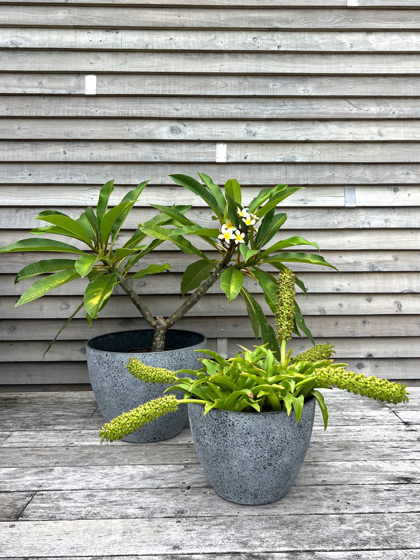 Nova Pot 'Concrete' X-Large