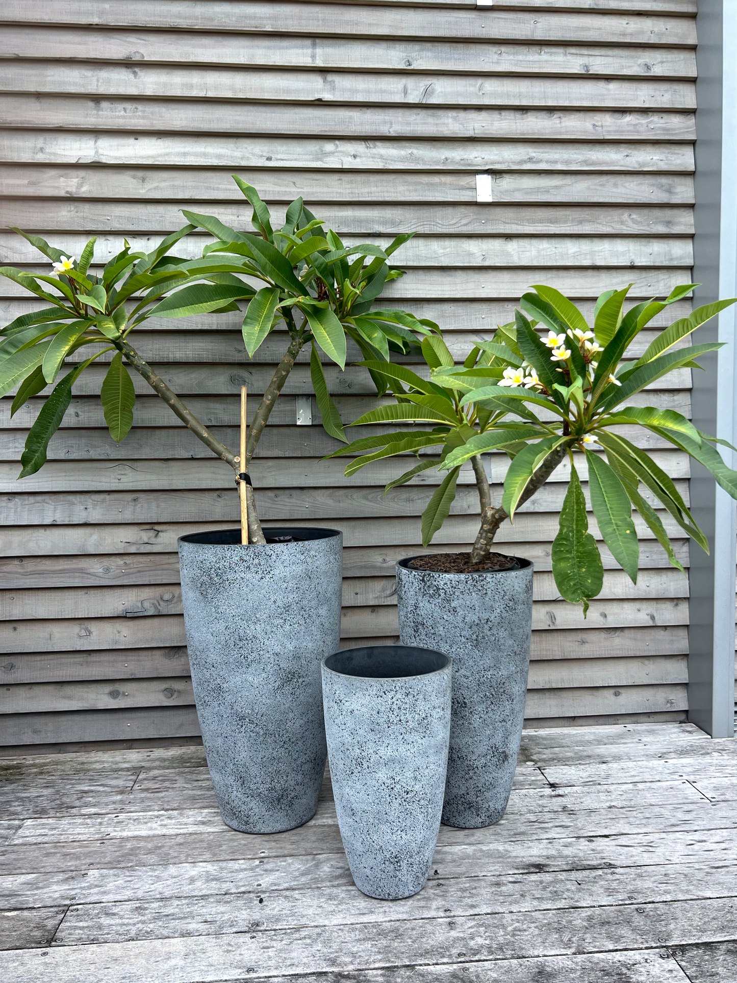 Nova Vase 'Concrete' Medium