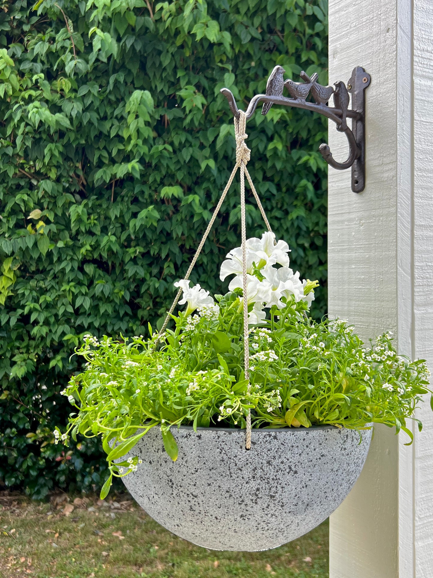 Nova Hanging Pot 'Concrete' Large