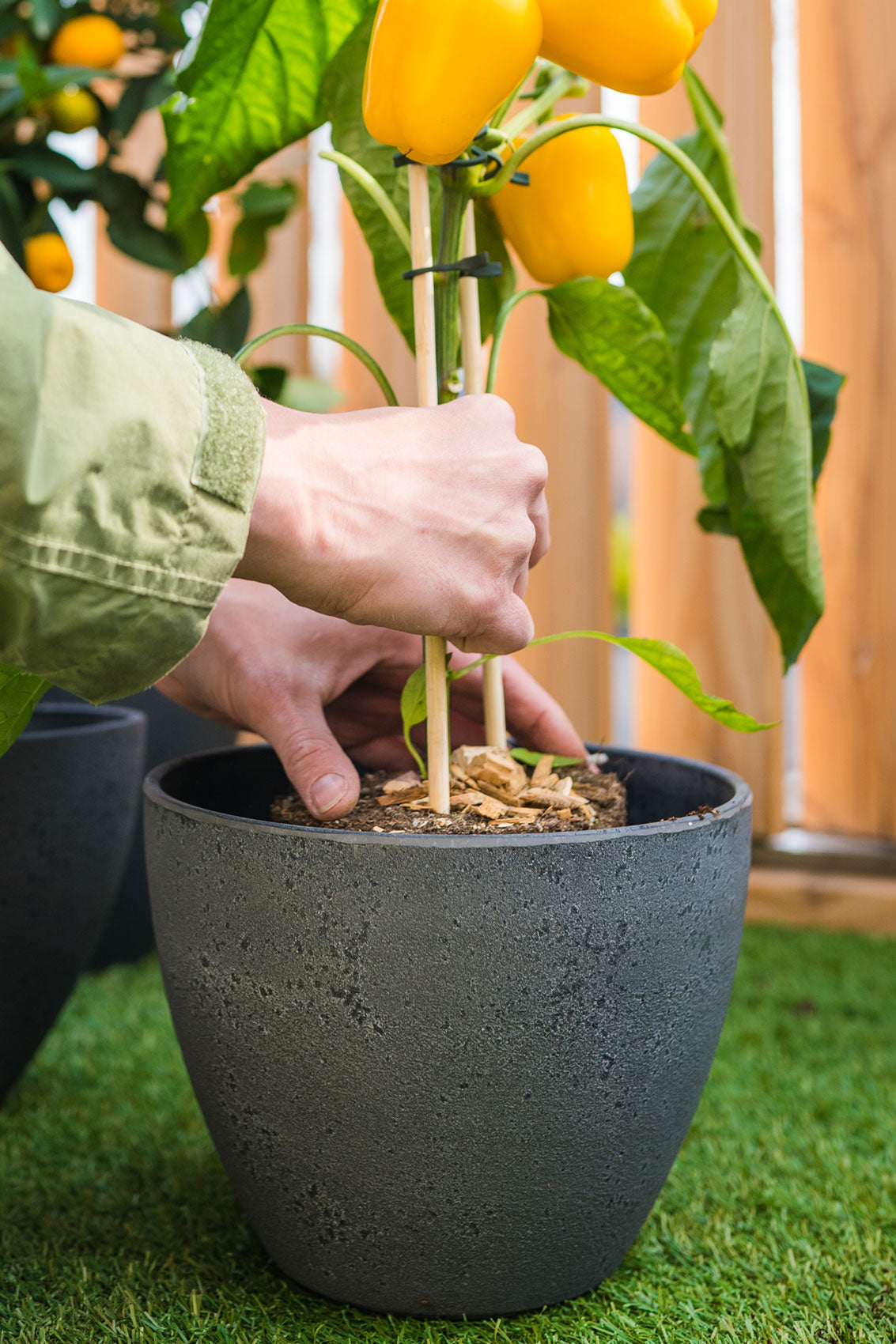 Nova Pot 'Grey' Medium