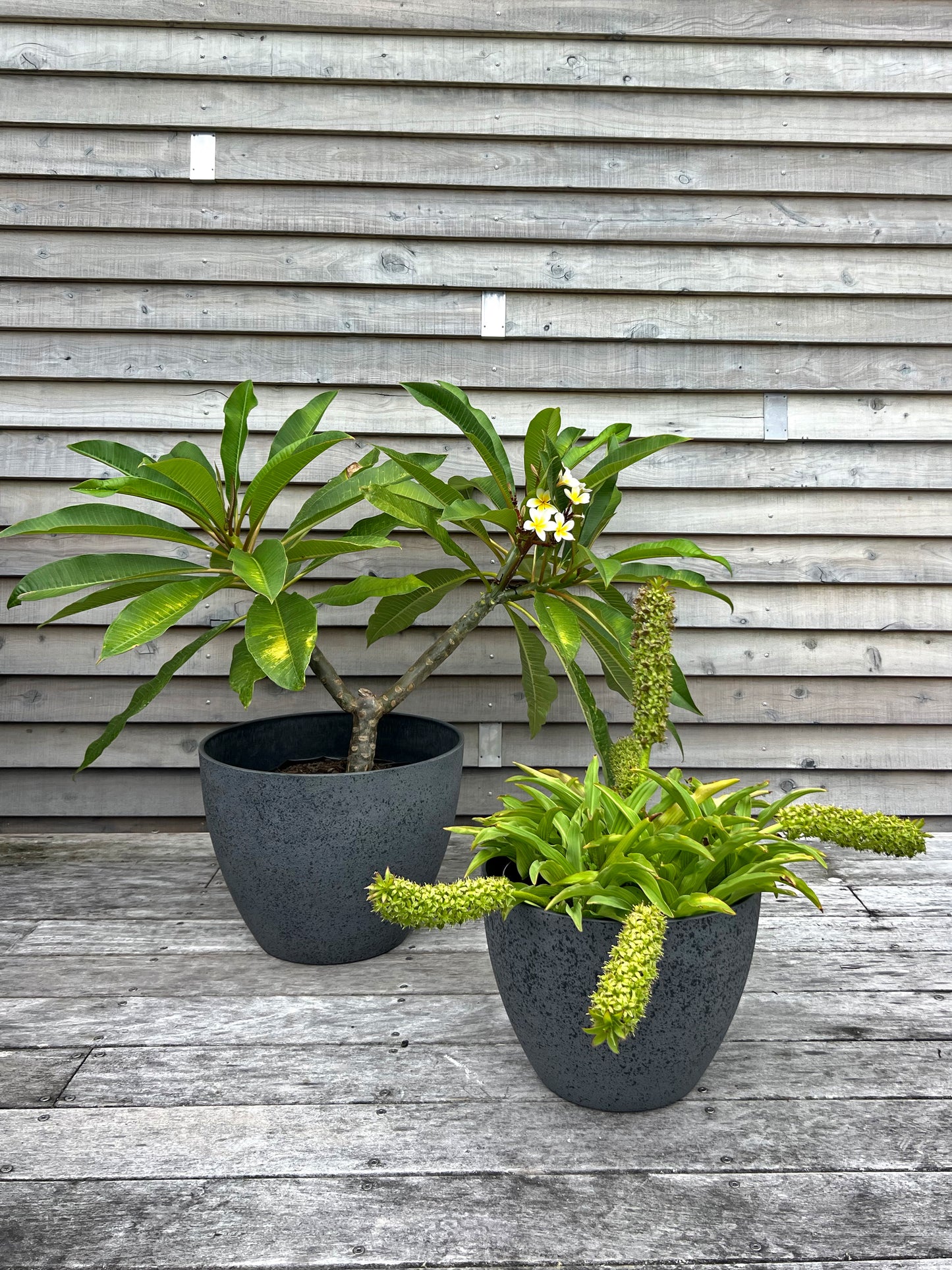 Nova Pot 'Grey' X-Large